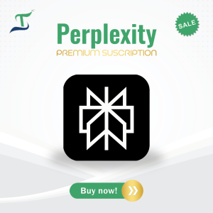 Perplexity